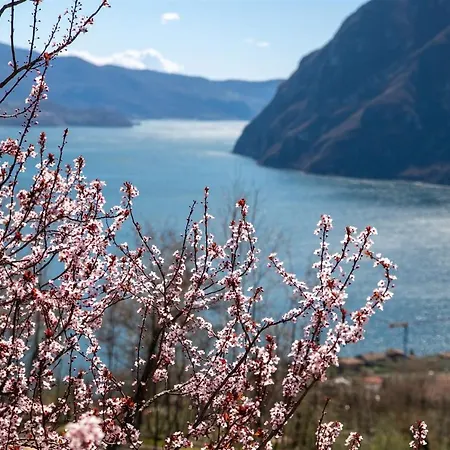 Iseolakerental - Casa Amata Riva di Solto